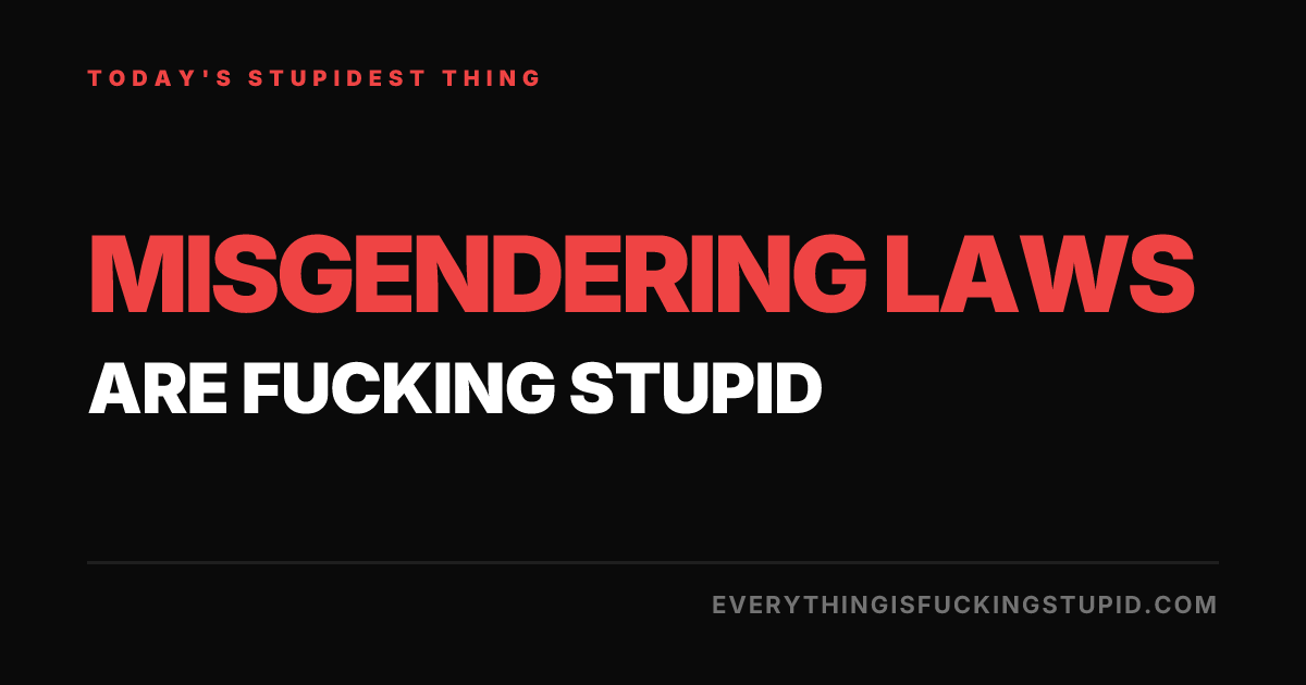 Everything Is Fucking Stupid logo